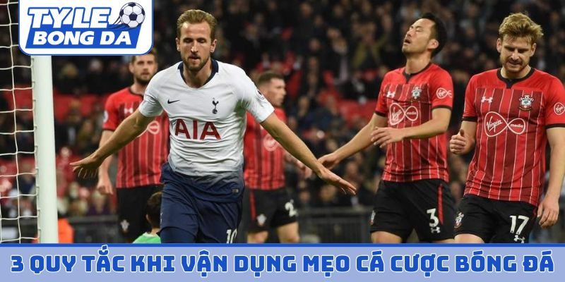 3 quy tắc khi vận dụng mẹo cá cược bóng đá