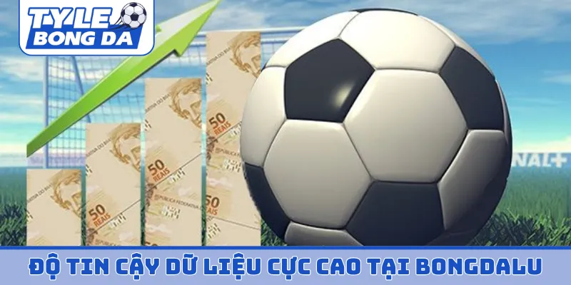 Độ tin cậy dữ liệu cực cao tại trang bongdalu