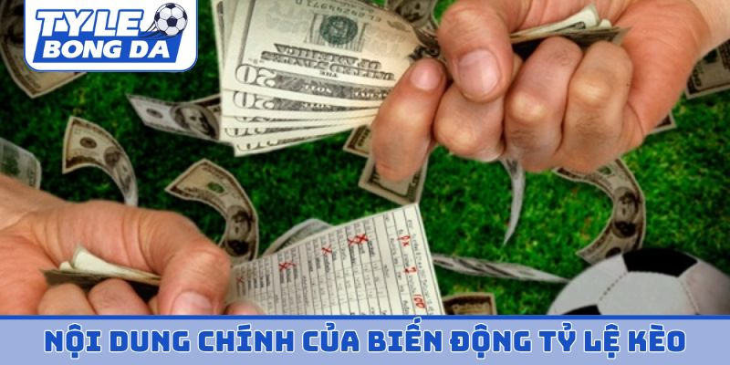 Nội dung chính của biến động tỷ lệ kèo