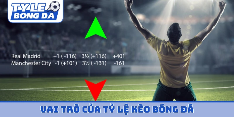 Vai trò của tỷ lệ kèo bóng đá